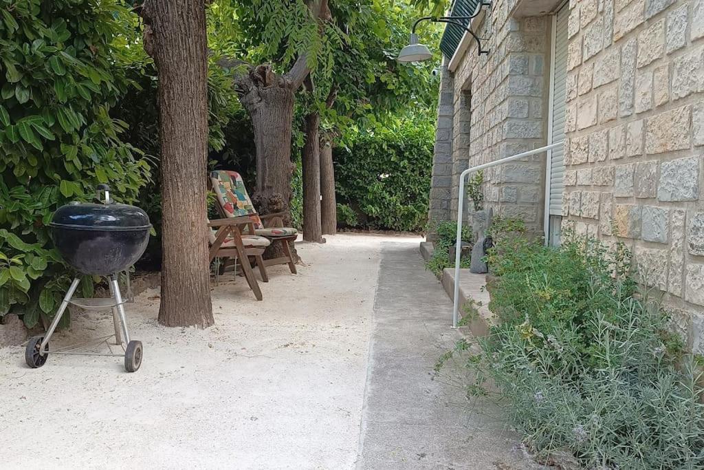 Grand Appartement, 2 Chambres Et Jardin Nîmes Eksteriør billede