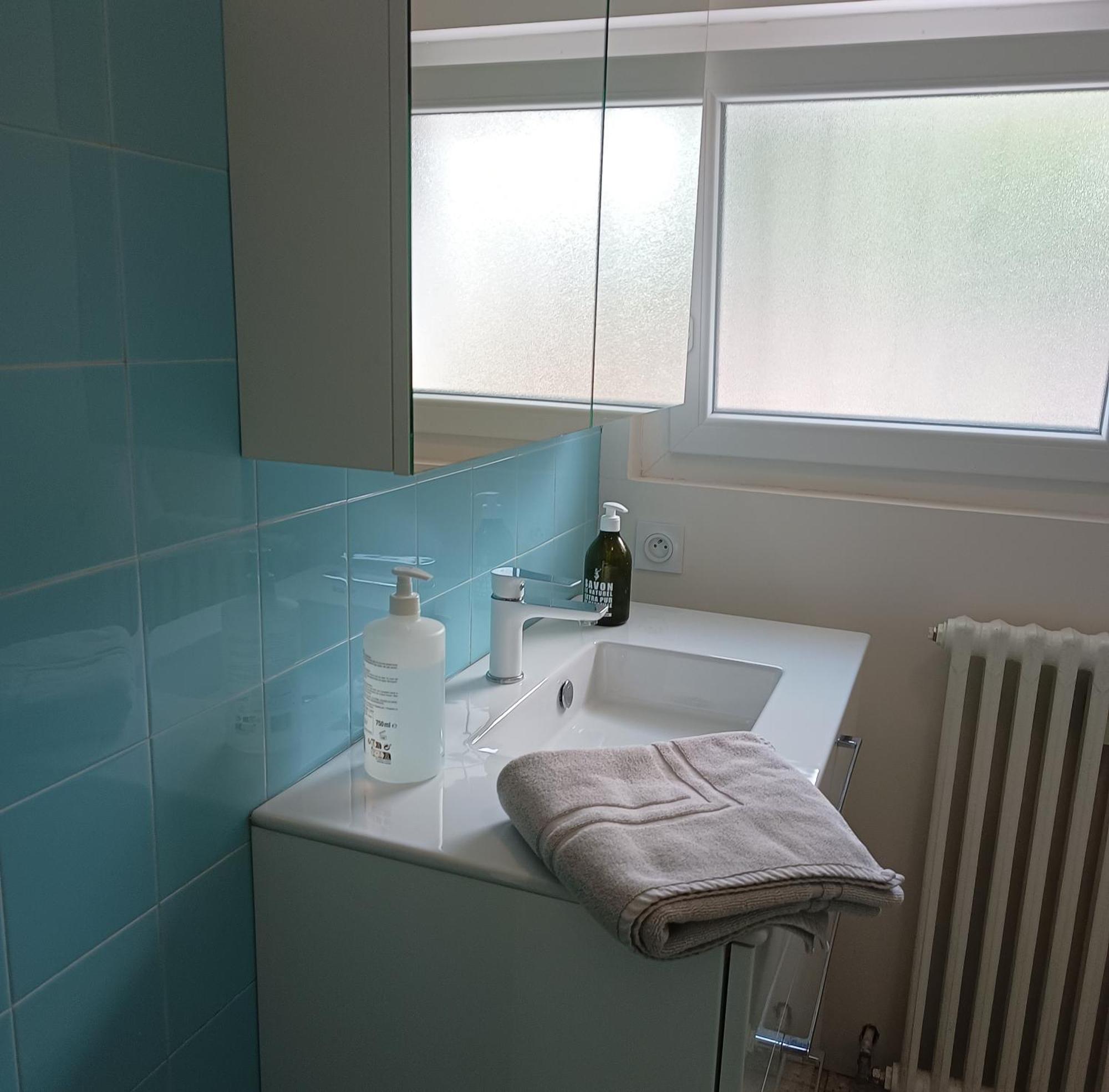 Grand Appartement, 2 Chambres Et Jardin Nîmes Eksteriør billede